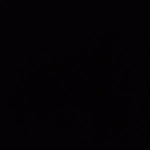 Meet your Posher, Sumiko